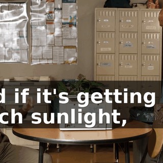 And if it's getting too much sunlight,
