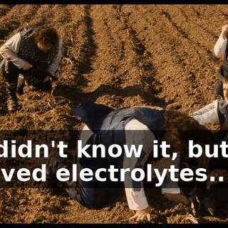 Joe didn't know it, but the beloved electrolytes...