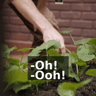 -Oh! -Ooh!