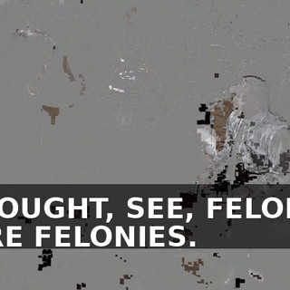 I THOUGHT, SEE, FELONIES WERE FELONIES.