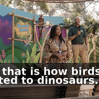 And that is how birds are related to dinosaurs.