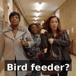 6f394564-3594-434d-8fee-5c17c43152a8.gif