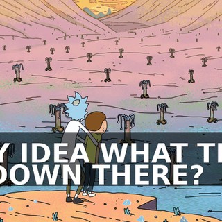 ANY IDEA WHAT THAT IS DOWN THERE?