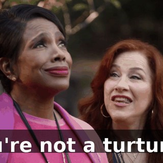 You're not a turturro.