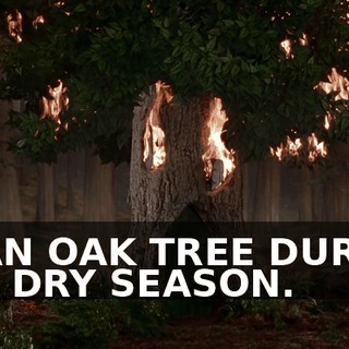 75caf44d-0ead-4741-9969-80c0a4337d05.gif