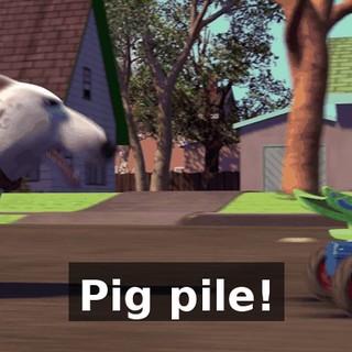 Pig pile!