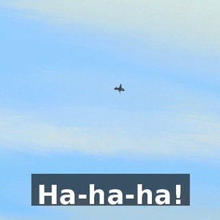 Ha-ha-ha!