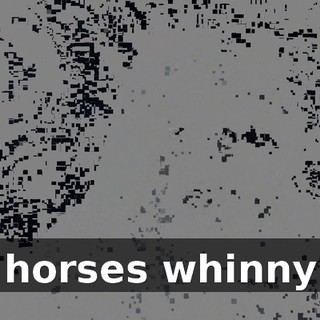 ( horses whinny )
