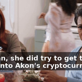 I mean, she did try to get the kids into Akon's cryptocurrency,