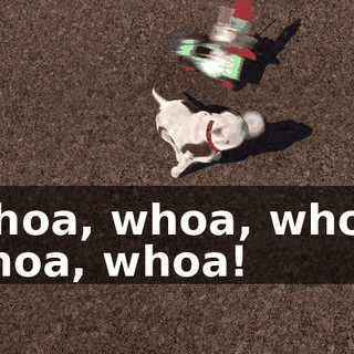 842b0d05-d1d7-4227-ab98-4768fd7d7f80.gif