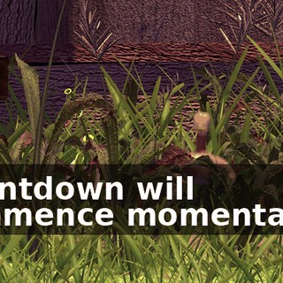 Countdown will commence momentarily.