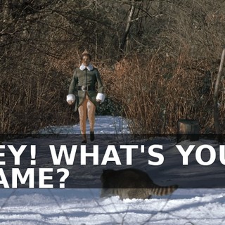 HEY! WHAT'S YOUR NAME?