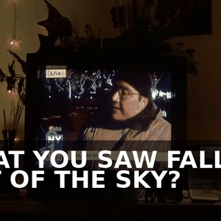 WHAT YOU SAW FALLING OUT OF THE SKY?