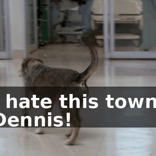 89131018-cae8-4b12-a453-92302f53d5d2.gif