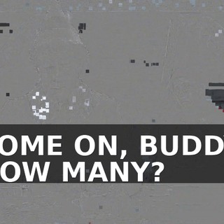 COME ON, BUDDY. HOW MANY?