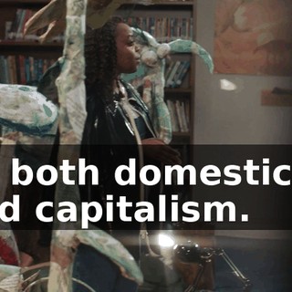 on both domesticity and capitalism.