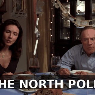 THE NORTH POLE.