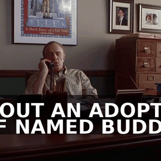ABOUT AN ADOPTED ELF NAMED BUDDY