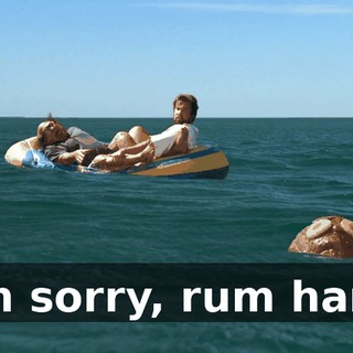 I'm sorry, rum ham!