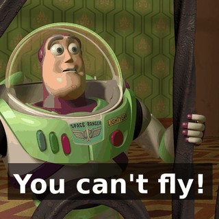 You can't fly!