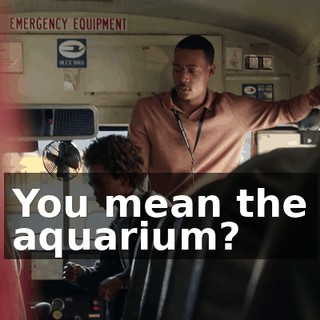 You mean the aquarium?