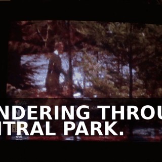 WANDERING THROUGH CENTRAL PARK.
