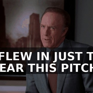 I FLEW IN JUST TO HEAR THIS PITCH,