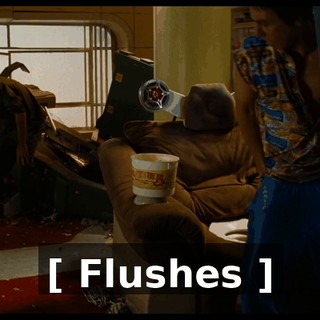 [ Flushes ]