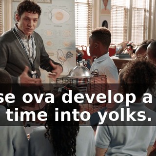these ova develop a few at a time into yolks.