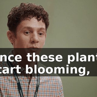 ae322a38-d0c2-4442-bec0-b151603f0c8d.gif