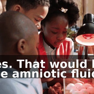 afd3401e-48e7-469e-8d2c-d746aa09ba5a.gif
