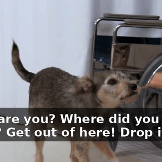 b076539e-0c06-46cc-90c1-ce25c0898a86.gif
