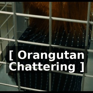 [ Orangutan Chattering ]