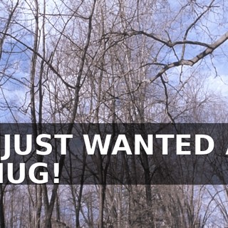 I JUST WANTED A HUG!
