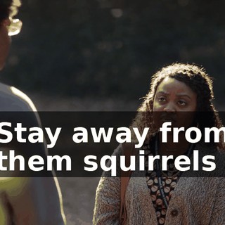 ♪ Stay away from them squirrels ♪