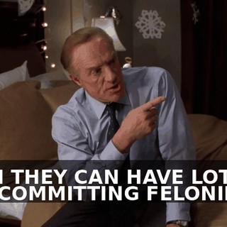 THEN THEY CAN HAVE LOTS OF FUN COMMITTING FELONIES.