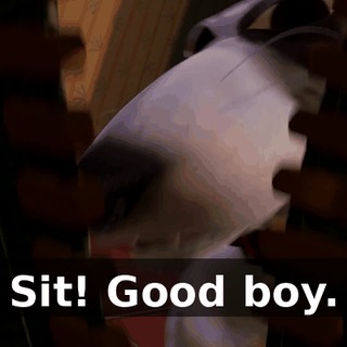 Sit! Good boy.