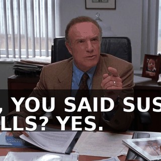 UH, YOU SAID SUSAN WELLS? YES.