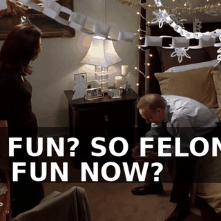 OH, FUN? SO FELONIES ARE FUN NOW?