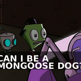 CAN I BE A MONGOOSE DOG?