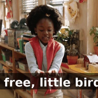 d289e7a5-7c95-4bd4-ab80-7378a408490b.gif