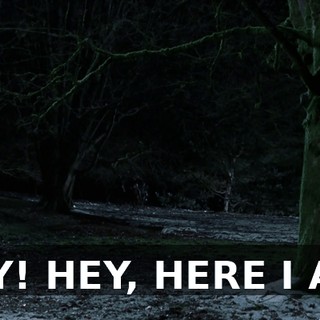 HEY! HEY, HERE I AM!