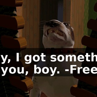 -Hey, I got something for you, boy. -Freeze!
