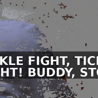TICKLE FIGHT, TICKLE FIGHT! BUDDY, STOP.