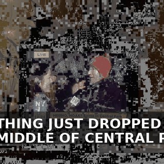 THE THING JUST DROPPED IN THE MIDDLE OF CENTRAL PARK.