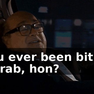 You ever been bit by a crab, hon?