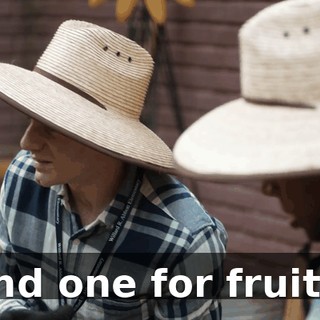 and one for fruits.