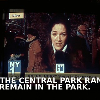 ONLY THE CENTRAL PARK RANGERS NOW REMAIN IN THE PARK.
