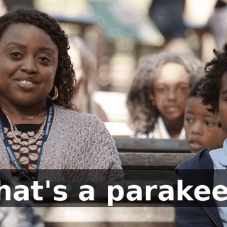That's a parakeet.