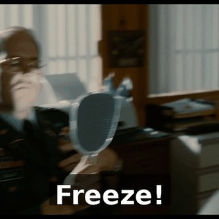 Freeze!